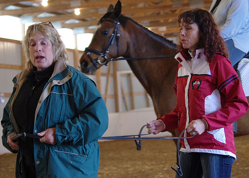 More on the Dressage Clinic