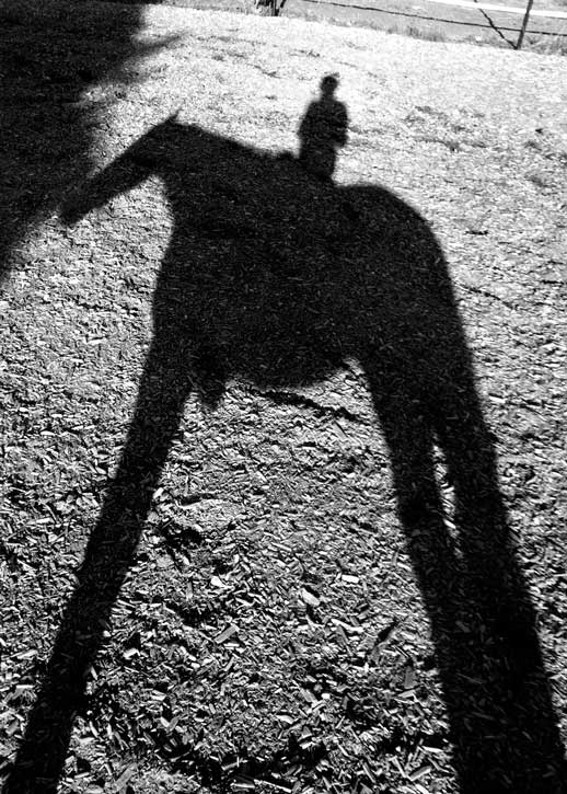 The Shadow Self