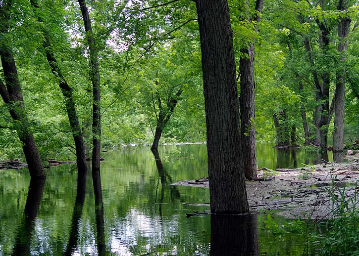 High Water and Inspiration