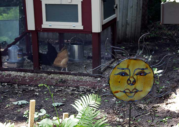 A View From the Potting Shed