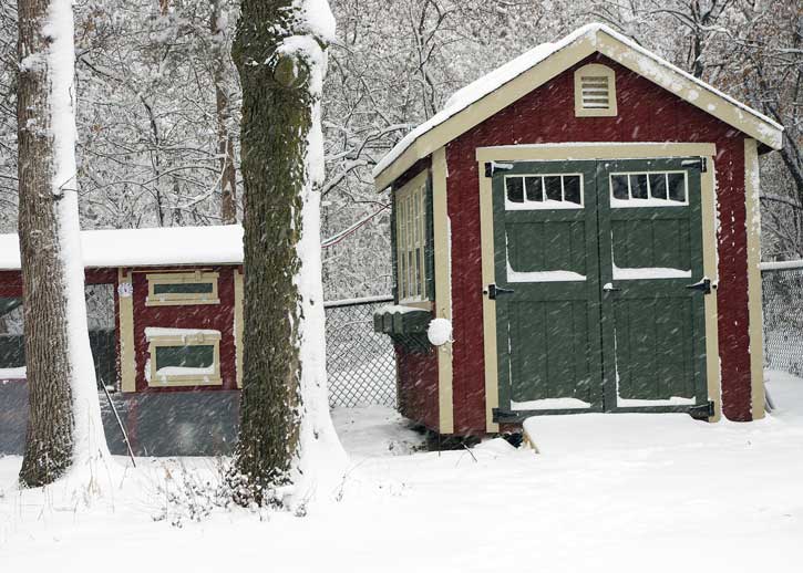 First Real Snow!