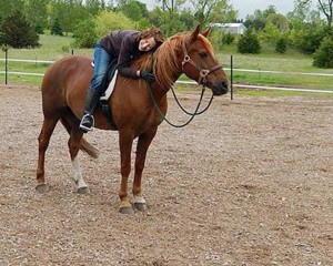 horse and woman