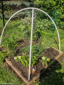 herb garden