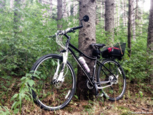 bicycle in the woods