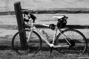 Bianchi Bike