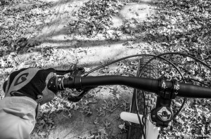 Fat tire bike
