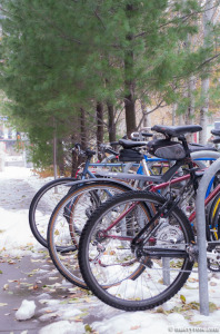 bikes in U of M bike rack