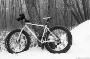 fat tire bike