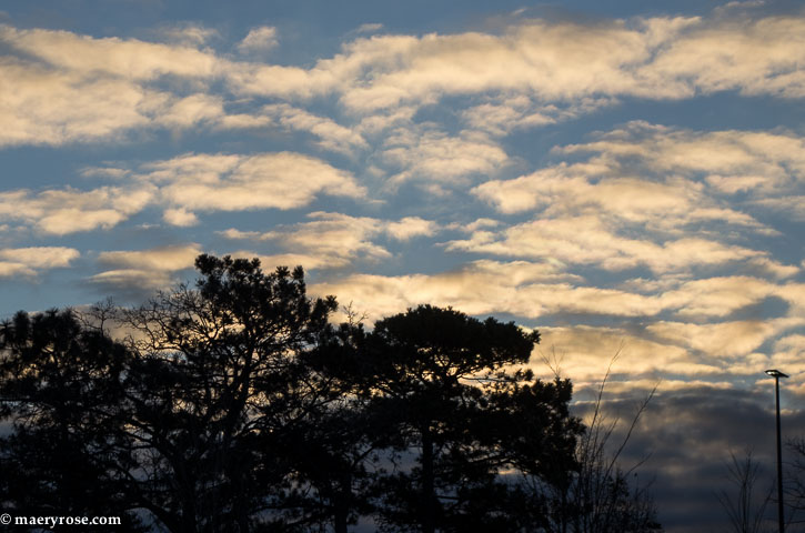 A Bubble Bath of Clouds