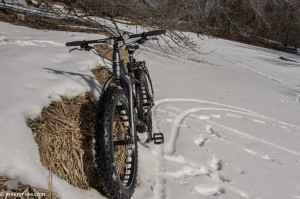 fat biking