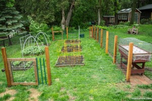 raised beds