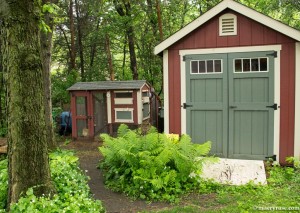 chicken coop and shed
