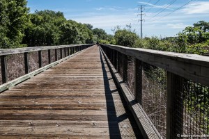 bicycle bridge through marsh