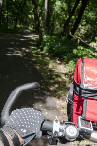 bicycle path through woods