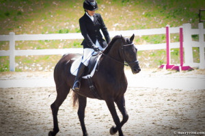 dressage horse and rider