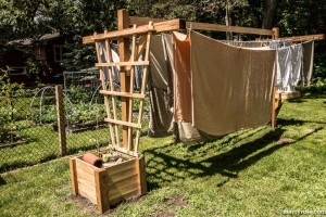 Clothesline in April