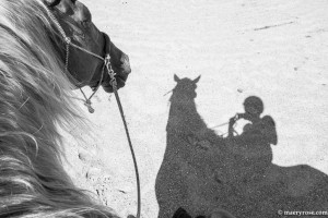 horseback riding