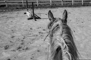 horseback riding