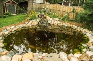 Backyard pond