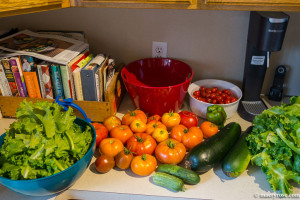 garden harvest