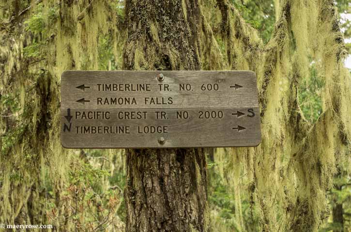 Part 3 of Oregon Trip: Hike to Ramona Falls