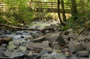 stream at Bridal Veil Falls