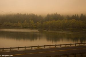 View out train window