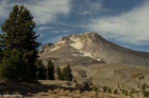 Mt Hood