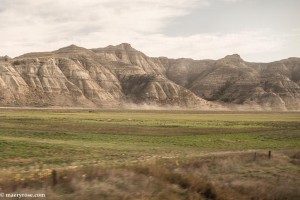 view from Amtrak train