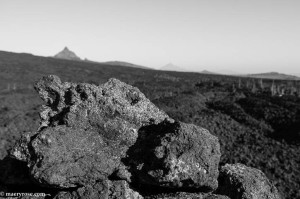 McKenzie Pass Lava Fields