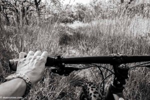 fat tire biking on trail