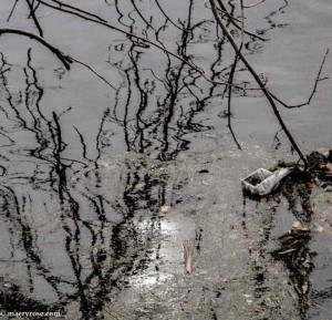 Mississippi River pollution