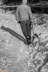 dog walk in the snow