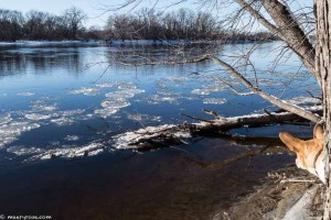 Winter view of the Mississippi River