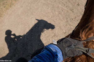 horseback riding