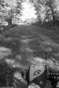 bicycling in woods