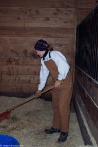 cleaning stalls