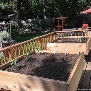 raised beds