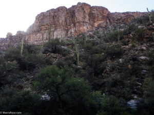 hiking Sabino Canyon