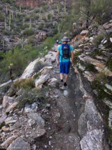 hiking Sabino Canyon