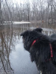 Mississippi River overflow