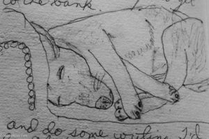 drawing of dog sleeping on couch