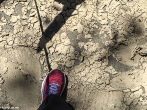 dried mud from Mississippi flooding