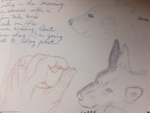 dog and hand sketches
