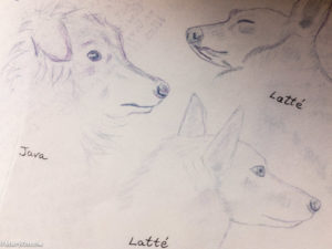 dog sketches