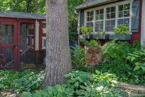 backyard shed