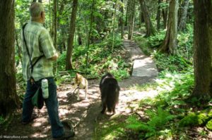 walking woody path at Jay Cooke State Park
