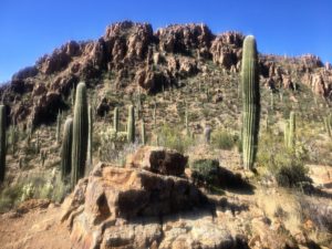 Starr Pass Trail Tucson AZ