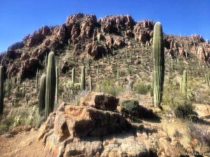 Starr Pass Trail Tucson AZ