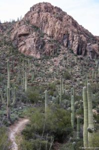 Starr Pass Trail Tucson AZ